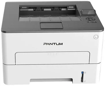 Замена памперса на принтере Pantum P3300DW в Краснодаре